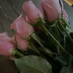 Meet your Posher, Isabell